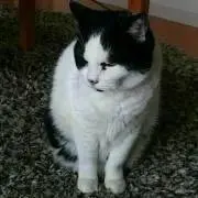 momo文(プロフ確認お願いします)