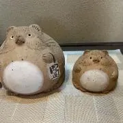 あらいぐまの画像