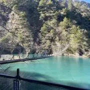 ニシの画像