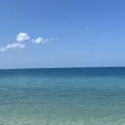 Dの画像
