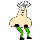 ぴぴの画像