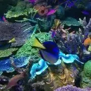 ⁂TM⁂プロフご一読ください⁂の画像