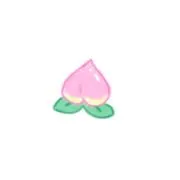 夏みかん プロフにてお取引詳細の画像