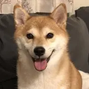 ちぃ