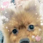 こばみ