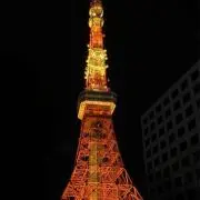 ちゃの画像