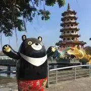 あらたまごの画像