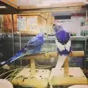 モモりん♡