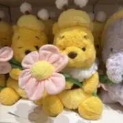 みなの画像