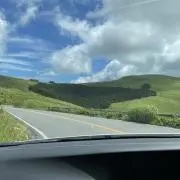 ケイマン君の画像