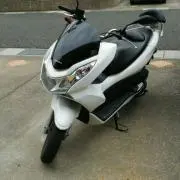 クマ