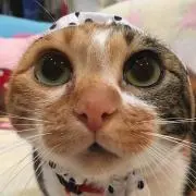 むうなんの画像