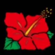 ヴィヴィアン64の画像