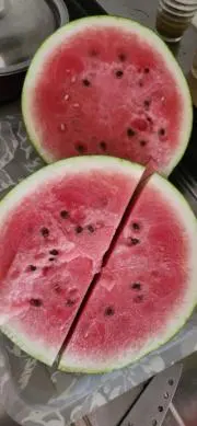 するめ枝豆之助太郎の画像