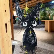 HYの画像