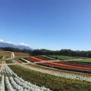 ランナー