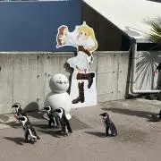ナスのニビの画像