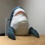 ユメチカの画像