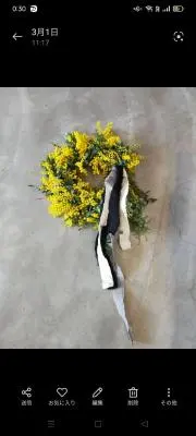 山Ｓの画像