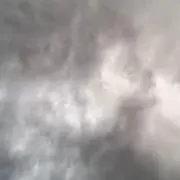 Ssの画像