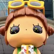 ぽむの画像
