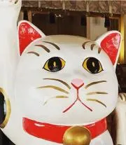 ka._.na