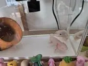 ゆう