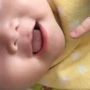 りゅうの画像