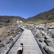 社畜
