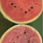 しよの画像