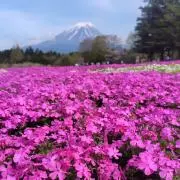りかまるの画像