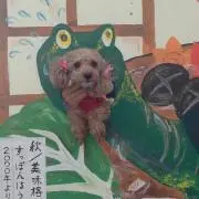 ろっしーの画像