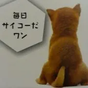 ケム