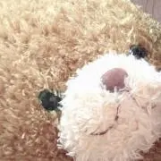 ★断捨離中★の画像