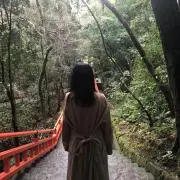きのこの画像