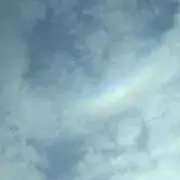 にこまるプロフ必須　即購入OKの画像