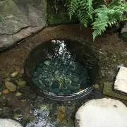タツ