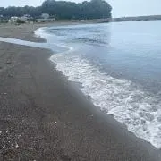 ゆきんこの画像
