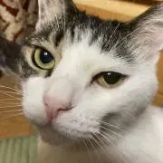 りんね　プロフィール読んでね