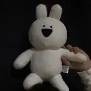いぬの画像