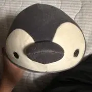 aykn.の画像