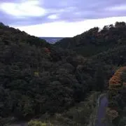 マックスの画像