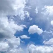 ききの画像