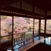 すももプロフ一読お願いいたしますの画像