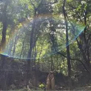 ひなたの画像