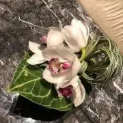 チコ、家で使わないものを出品しています。