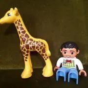 hanaの画像