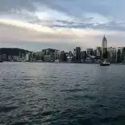 サマーの画像
