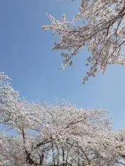 Image of 古着/生活雑貨✨時々セールします✨