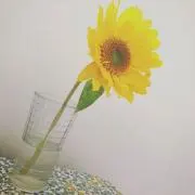 hanananaの画像